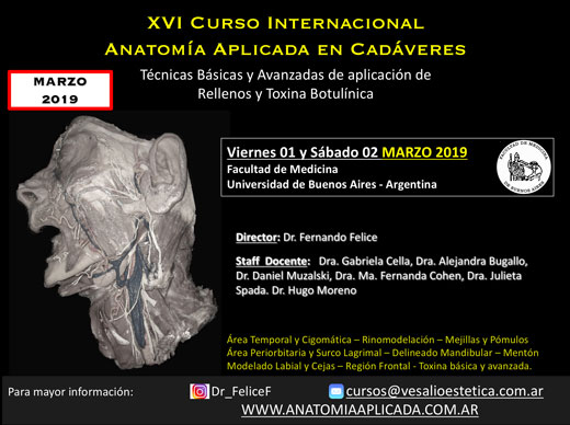 Curso Internacional Anatomía Aplicada en Cadáveres: técnicas básicas y avanzadas de aplicación de rellenos faciales y toxina botulínica