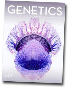 REVISTA GENETICS