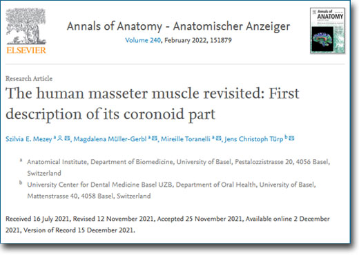 Descubrieron una tercera y súper profunda capa del músculo masetero
