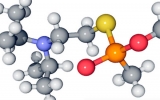 Diferencias entre medicina Orthomolecular y Biomolecular