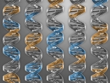 Sintetizan la clula mnima con solo 473 genes necesarios para la vida