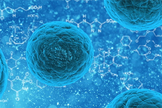 F-class, un nuevo tipo de célula madre pluripotente
