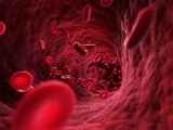 Una novedosa terapia antienvejecimiento podría ser efectiva contra la anemia aplásica